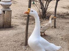 -森林公园(尖草坪区)