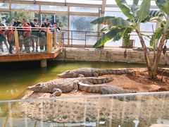 -石家庄市动物园