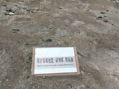 -黑油山景区