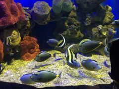 -洛阳龙门海洋馆
