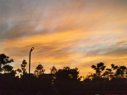 -迎宾一号酒店·宴会厅