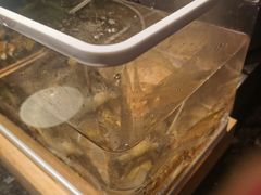 -西安皇冠假日酒店·朱雀咖啡厅