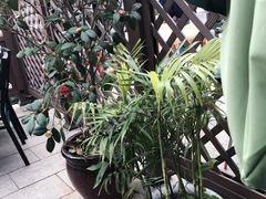 -迎晨餐厅(青芝坞店)