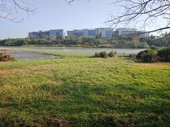 -华侨城湿地公园