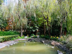 -苏州河梦清园环保主题公园