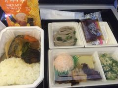 -全日本空输株式会社(上海办事处)