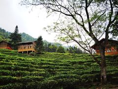 -姑婆山旅游区