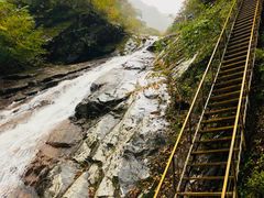 -青峰峡国家森林公园