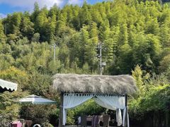-看见远方·莫干遥远的山民宿