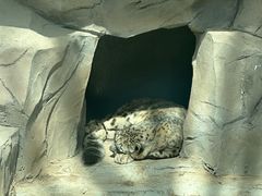 -青藏高原野生动物园