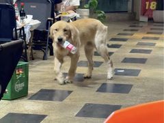 -回头烧烤(悦荟购物中心店)