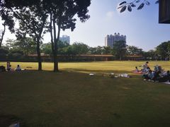 -顺峰山公园