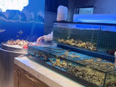 -冀粤香海鲜自助餐厅(西美五洲店)