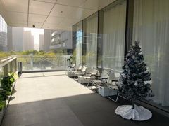 -红舞鞋舞蹈教育(近江校区)