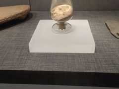 -邯郸市博物馆(新馆)