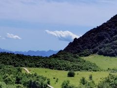 -白草畔自然风景区