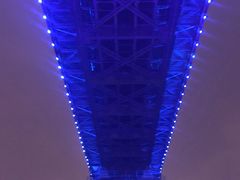 -武汉两江游览·夜游长江(汉口粤汉码头)