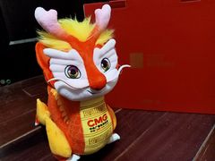 -中央广播电视总台(光华路办公区)