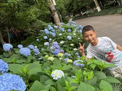 -杭州少年儿童公园