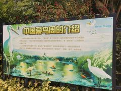 -广州长隆飞鸟乐园