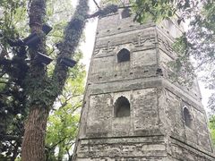 -江心屿景区