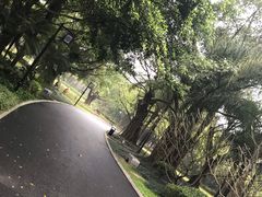-南宁南湖公园