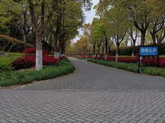 -上海海湾国家森林公园