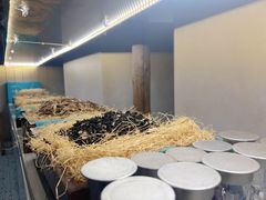 景观位-刀板香·安徽菜(国购IFC店)
