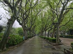 -璐坊粽王(复兴中路店)