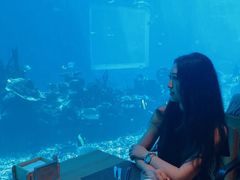 -海棠湾洲际-涛·海底餐厅·美人鱼·自助餐·海底隧道