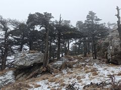 -秦岭风景区