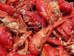 -盒马鲜生(红莲店)