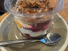 -Wagas沃歌斯(汇智店)