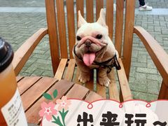 -星巴克(大宁店)