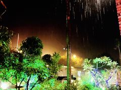 -花溪雨·森林餐厅(石基店)
