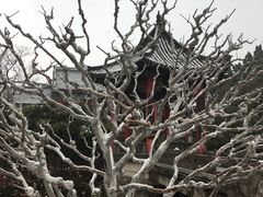 -山东大学(千佛山校区)