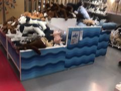 -宜家家居(哈尔滨商场店)