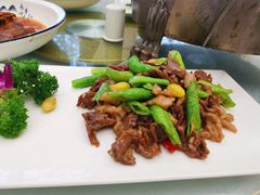 爆炒双花-丁老爷子苏香圆