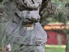 -北陵公园