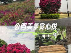 -东莞植物园