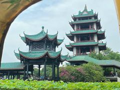 -桂湖森林公园