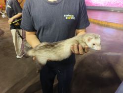 点击看大图 -Zoolung Zoolung动物主题公园(海信广场店)