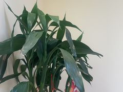 -微笑时刻照相馆·企业合影·商务外拍(北京五道口店)