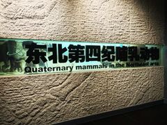 -大庆市博物馆