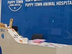 -芭比堂动物医院·CT·微创中心(新顺分院)