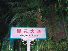 -武汉大学-樱园