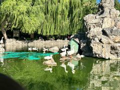 -团结湖公园