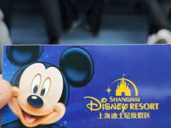 -上海迪士尼度假区