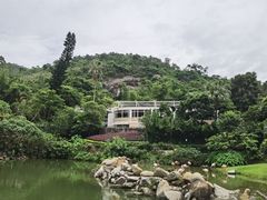 -石排湾郊野公园