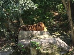 -宁波野生动物园